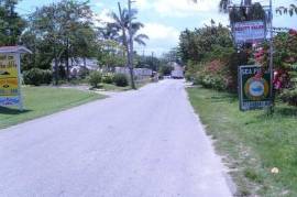 Commercial Bldg/Industrial for Rent in Negril