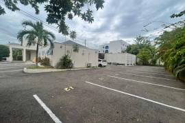 Commercial Bldg/Industrial for Rent in Kingston 10