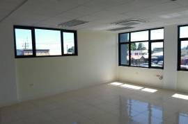 Commercial Bldg/Industrial for Rent in Kingston 10