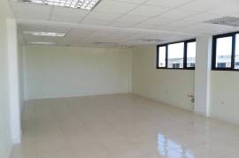 Commercial Bldg/Industrial for Rent in Kingston 10