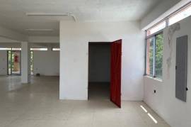 Commercial Bldg/Industrial for Rent in Kingston 5