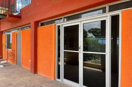 Commercial Bldg/Industrial for Rent in Kingston 5