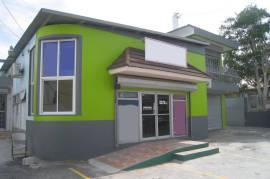 Commercial Bldg/Industrial for Rent in Montego Bay