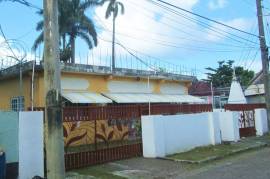 Commercial Bldg/Industrial for Rent in Port Antonio