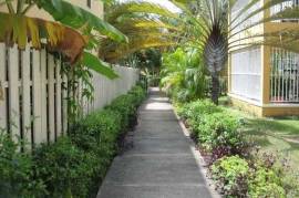 3 Bedrooms 4 Bathrooms, Townhouse for Rent in Kingston 8