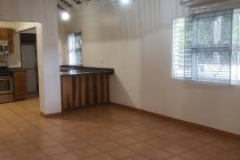 2 Bedrooms 3 Bathrooms, Townhouse for Rent in Kingston 6