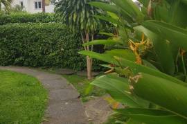 2 Bedrooms 2 Bathrooms, Townhouse for Rent in Kingston 6