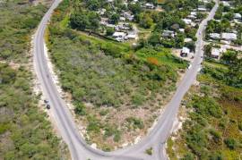 Commercial Lot for Sale in Spanish Town