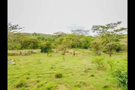 Commercial Lot for Sale in Toll Gate