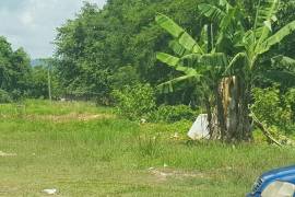 Commercial Lot for Sale in Savanna-La-Mar