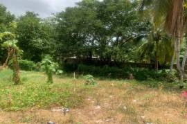 Commercial Lot for Sale in Santa Cruz