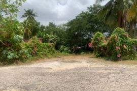 Commercial Lot for Sale in Santa Cruz