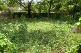 Commercial Lot for Sale in Santa Cruz