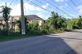 Commercial Lot for Sale in Annotto Bay