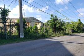 Commercial Lot for Sale in Annotto Bay