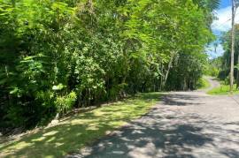 Residential Lot for Sale in Montego Bay