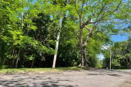 Residential Lot for Sale in Montego Bay