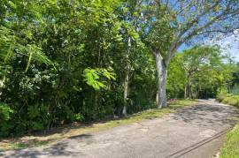 Residential Lot for Sale in Montego Bay