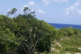 Residential Lot for Sale in Discovery Bay