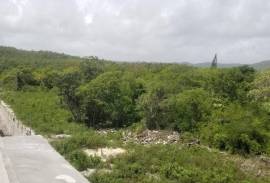 Residential Lot for Sale in Discovery Bay