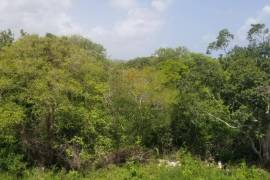 Residential Lot for Sale in Discovery Bay