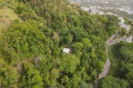 Residential Lot for Sale in Kingston 6