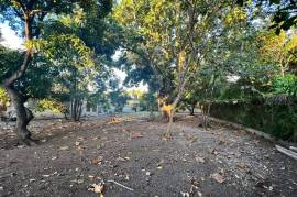 Residential Lot for Sale in Kingston 6