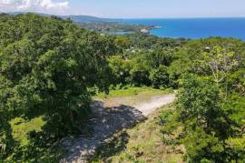 Residential Lot for Sale in Port Antonio