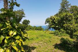 Residential Lot for Sale in Port Antonio