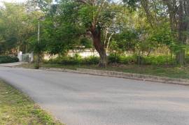 Residential Lot for Sale in Negril