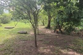 Residential Lot for Sale in Kingston 6