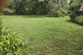 Residential Lot for Sale in Kingston 6