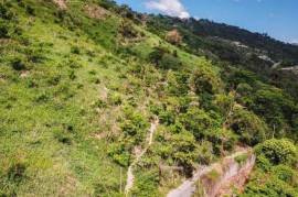 Residential Lot for Sale in Kingston 6