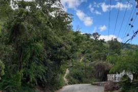 Residential Lot for Sale in Kingston 6