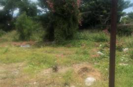 Residential Lot for Sale in Kingston 10