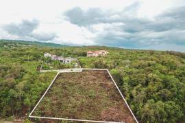 Residential Lot for Sale in Duncans