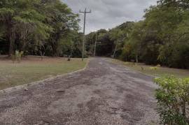 Residential Lot for Sale in Half Moon