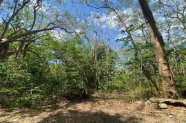 Residential Lot for Sale in Montego Bay