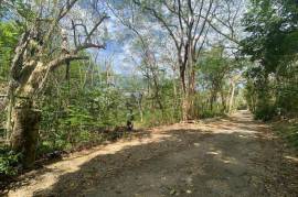 Residential Lot for Sale in Montego Bay