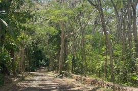 Residential Lot for Sale in Montego Bay