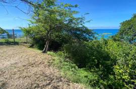 Residential Lot for Sale in Treasure Beach