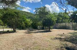 Residential Lot for Sale in Treasure Beach