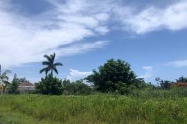 Residential Lot for Sale in St. Ann's Bay