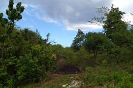 Residential Lot for Sale in Montego Bay