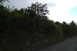 Residential Lot for Sale in Montego Bay