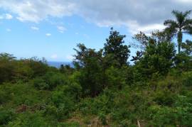 Residential Lot for Sale in Montego Bay