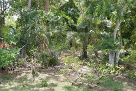 Residential Lot for Sale in Montego Bay