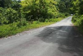 Residential Lot for Sale in Port Morant