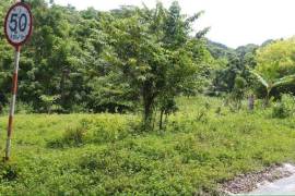 Residential Lot for Sale in Port Morant