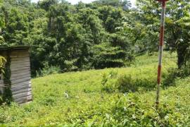 Residential Lot for Sale in Port Morant